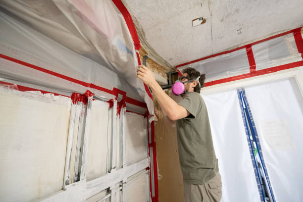 Best Mold Odor Removal Services  in Eastpointe, MI