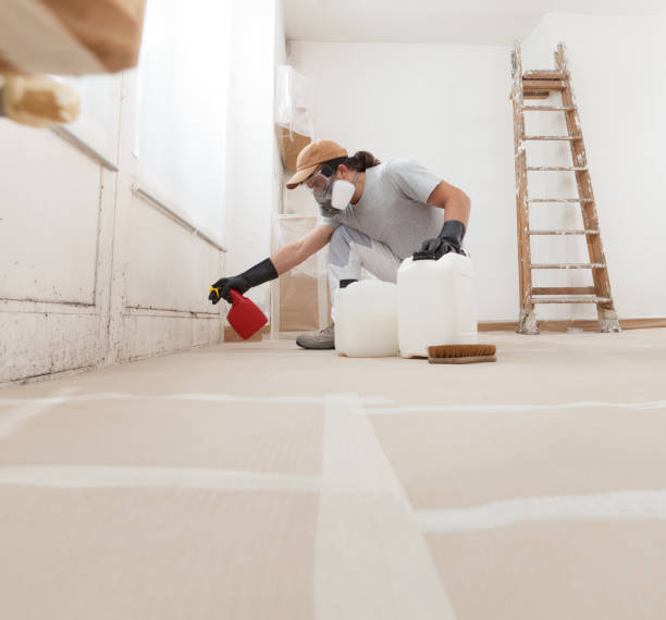 Eastpointe, MI Mold Removal Company
