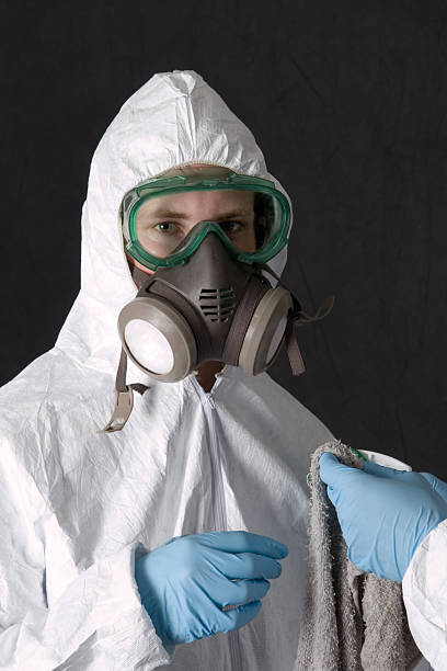 Best Post-Construction Mold Inspection  in Eastpointe, MI